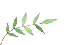 精准赋能中考冲刺,匠心引领备考征程——玉溪师范学院专家团队走进西双版纳州民族中学 第12张