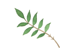 精准赋能中考冲刺,匠心引领备考征程——玉溪师范学院专家团队走进西双版纳州民族中学 第13张