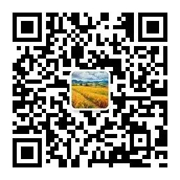 为什么每次模拟考分数不高,但是高考分数却普遍比模考更高?这3个原因很关键!-第15张图片-四季读书网 为什么每次模拟考分数不高,但是高考分数却普遍比模考更高?这3个原因很关键!-第15张图片-四季读书网