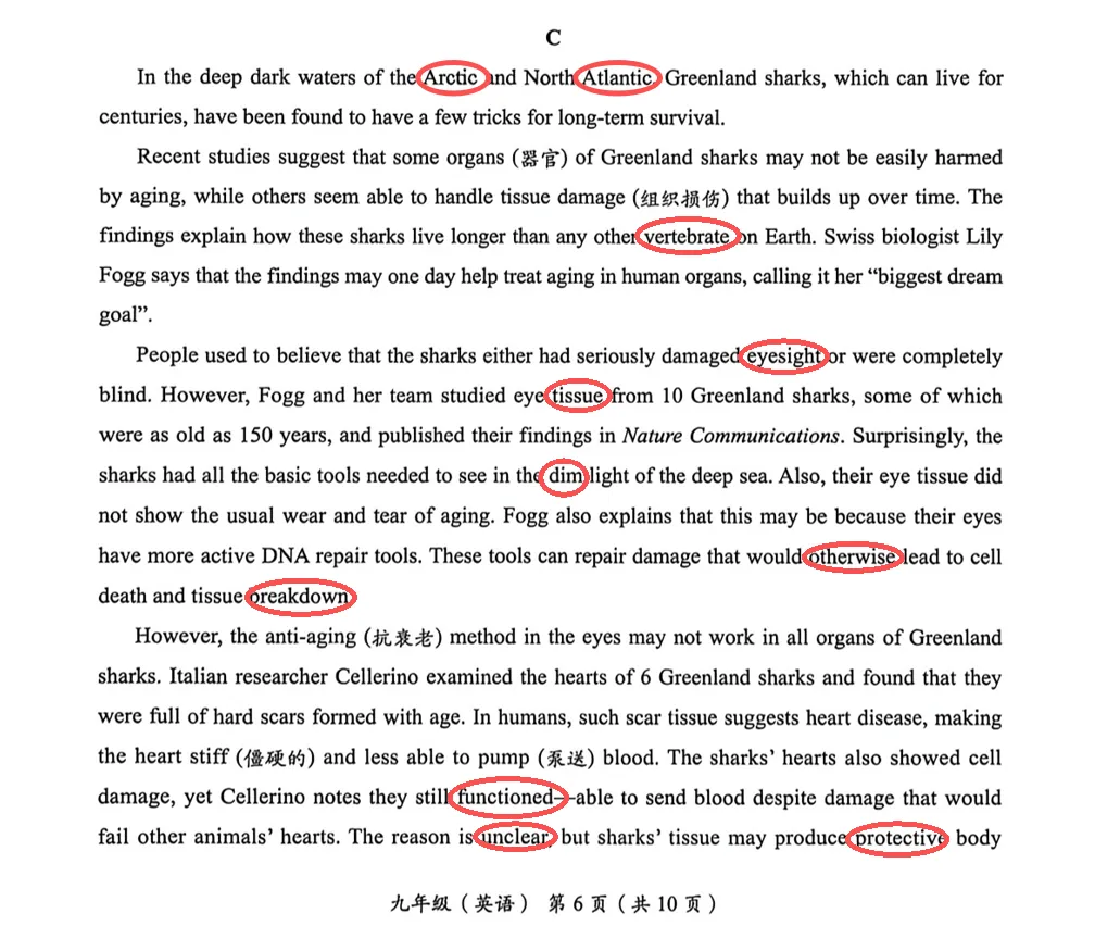 2026海淀中考一模英语难到崩溃?怎么救?!(附完整试卷及答案)-第2张图片-四季读书网