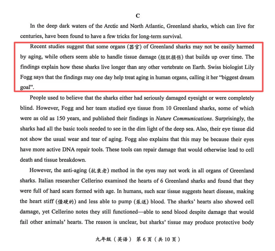 2026海淀中考一模英语难到崩溃?怎么救?!(附完整试卷及答案)-第4张图片-四季读书网