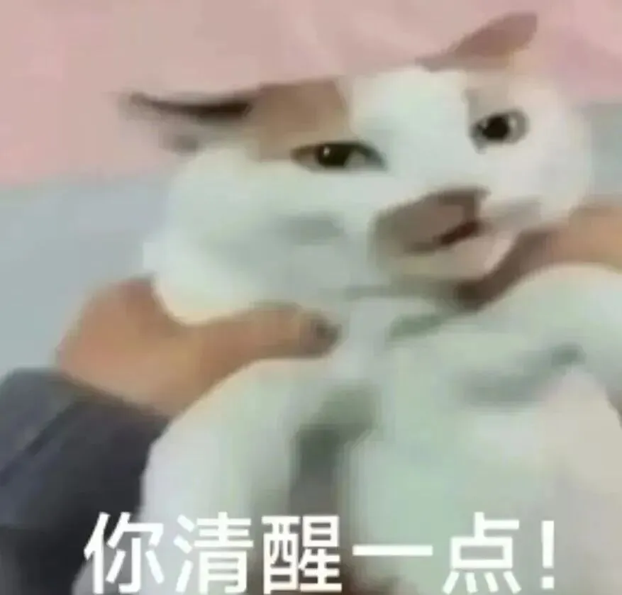 “鹅,拿到真题应该分析些什么啊?” 第14张