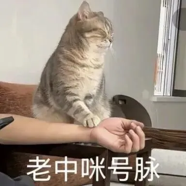 “鹅,拿到真题应该分析些什么啊?” 第18张