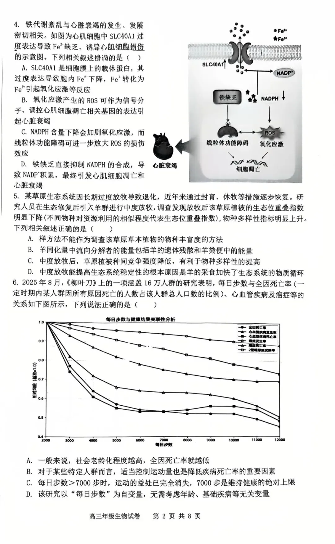 合肥八中2026届高三最后一卷试卷分享来啦! 第9张