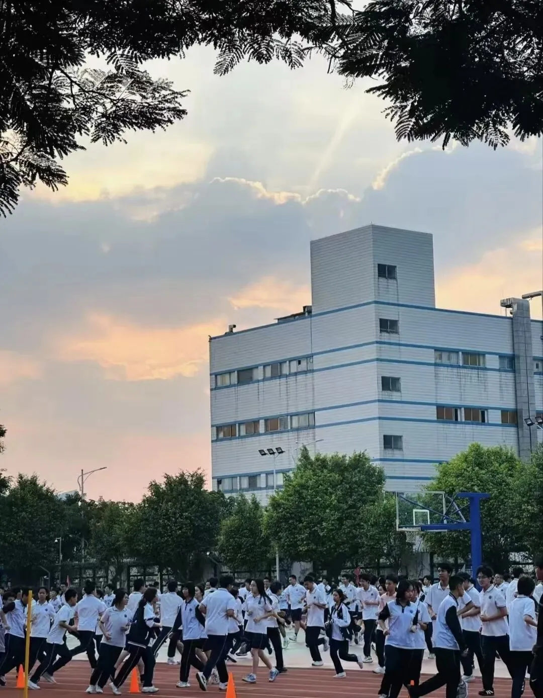 中考后如何找学校(实操手册) 第2张 中考后如何找学校(实操手册) 第2张