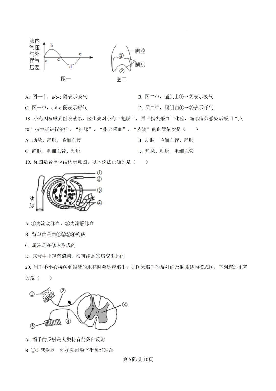 郴州二模全科试卷推送+生物深度解析:一篇文章看懂湖南首次开卷新考法-第115张图片-四季读书网 郴州二模全科试卷推送+生物深度解析:一篇文章看懂湖南首次开卷新考法-第115张图片-四季读书网