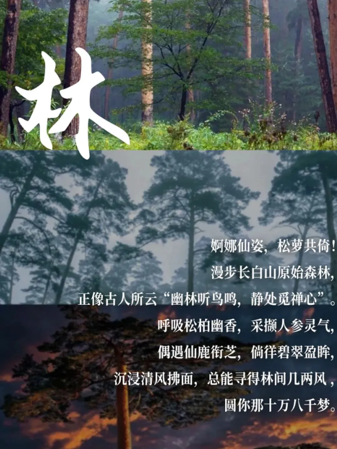 【中考后6.16出发】环东北避暑7日清凉之旅 ——漂流·天池·边境 一网打尽-第7张图片-四季读书网