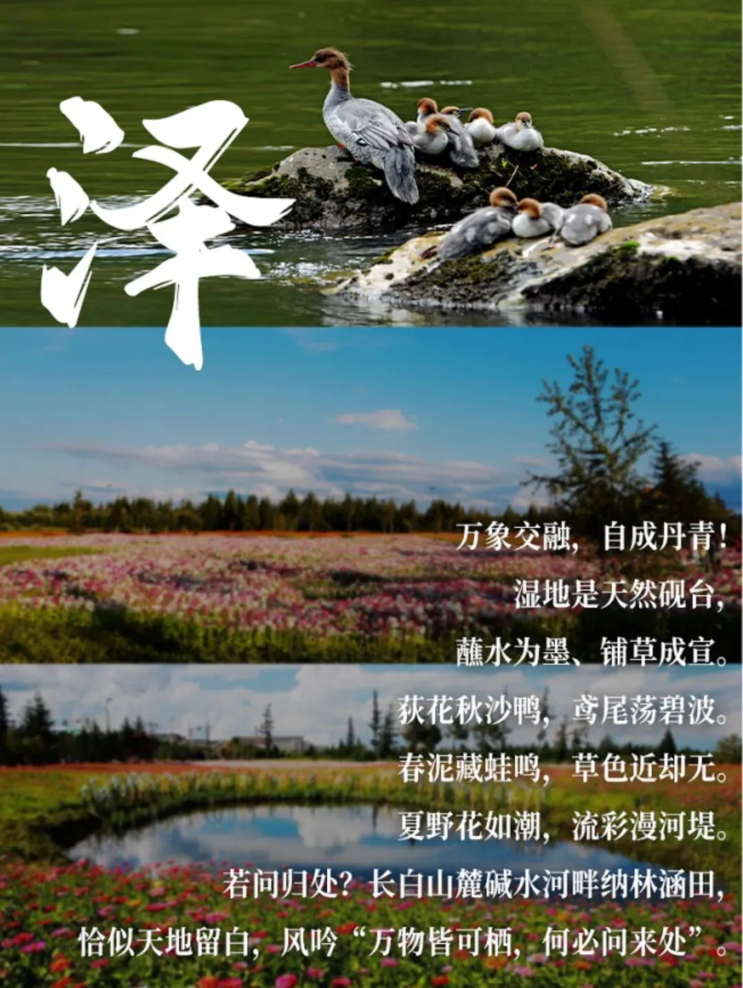 【中考后6.16出发】环东北避暑7日清凉之旅 ——漂流·天池·边境 一网打尽-第9张图片-四季读书网