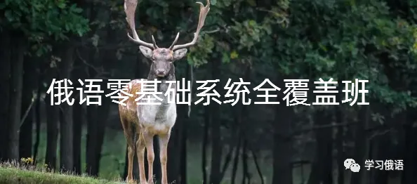 【直播】【俄语高考真题系统拿分班】暑假博士老师手把手正确刷题,你真的离140+很近! 第16张