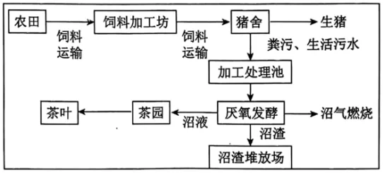 高一下期末-地理-环境与发展真题汇编试卷考答案解析考点题型 第24张 高一下期末-地理-环境与发展真题汇编试卷考答案解析考点题型 第24张