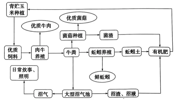 高一下期末-地理-环境与发展真题汇编试卷考答案解析考点题型 第26张 高一下期末-地理-环境与发展真题汇编试卷考答案解析考点题型 第26张
