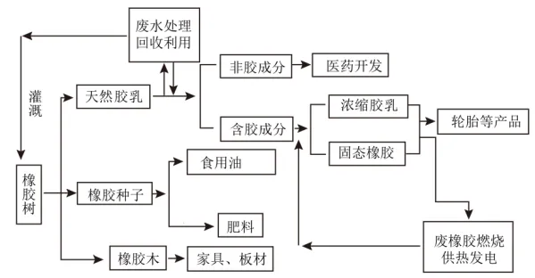 高一下期末-地理-环境与发展真题汇编试卷考答案解析考点题型 第42张 高一下期末-地理-环境与发展真题汇编试卷考答案解析考点题型 第42张
