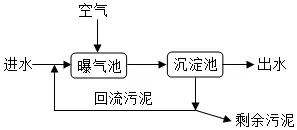 2026中考生物模拟试卷一(附答案),含金量很高! 第8张 2026中考生物模拟试卷一(附答案),含金量很高! 第8张