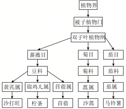 2026中考生物模拟试卷一(附答案),含金量很高! 第12张 2026中考生物模拟试卷一(附答案),含金量很高! 第12张