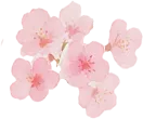 决胜中考!通高为你加油! 第55张 决胜中考!通高为你加油! 第55张