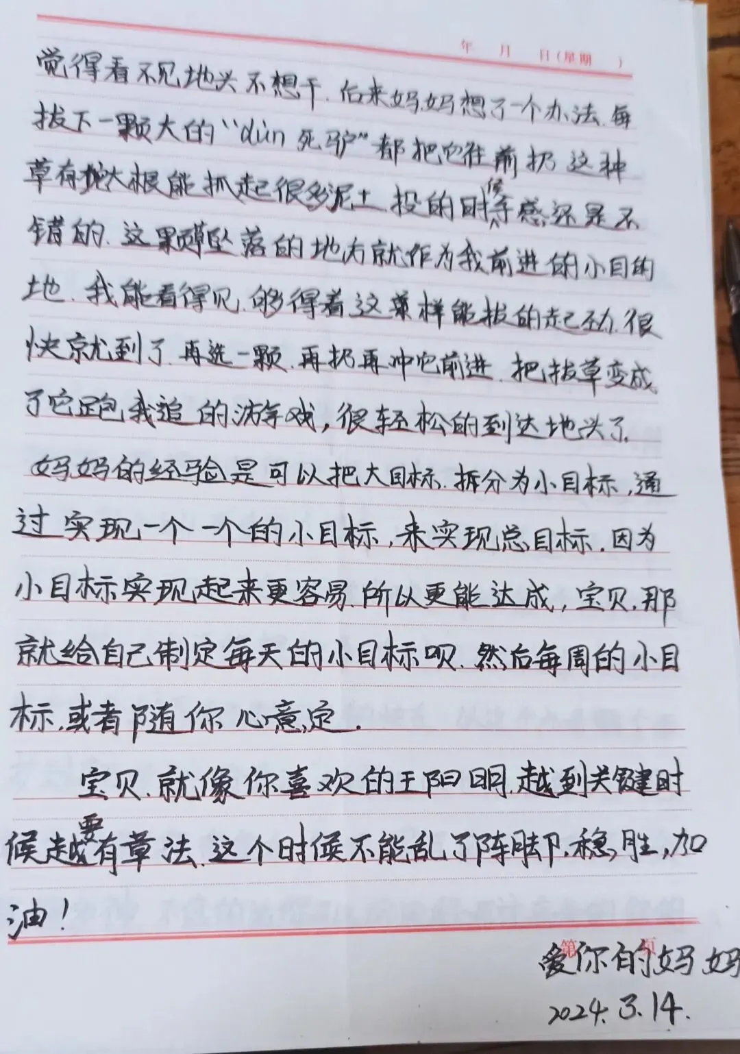 中考倒计时,给儿子的一封信,关于目标 第2张