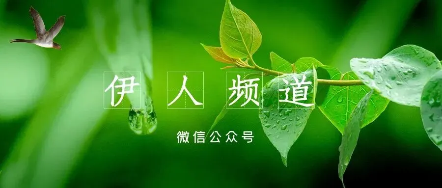 中考历史复习:世界古代史知识点 第2张