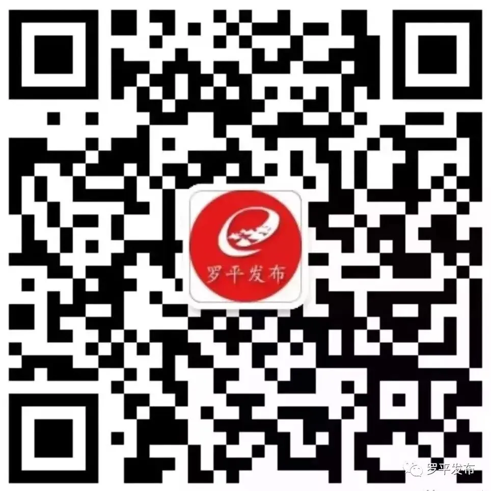 罗平县召开2019年中考考务工作会 第6张