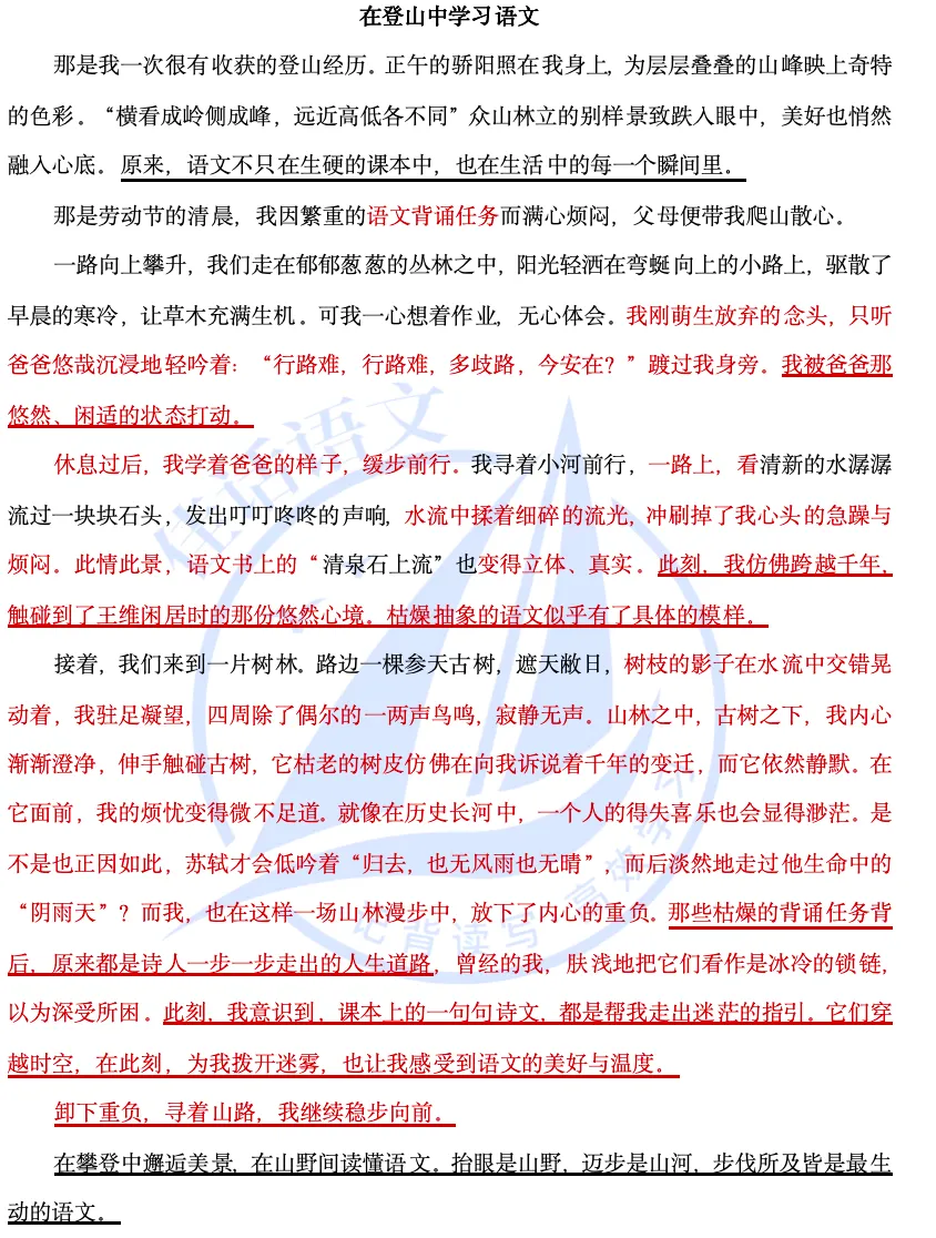 【作文真题讲练】《在___中学习语文》 第13张
