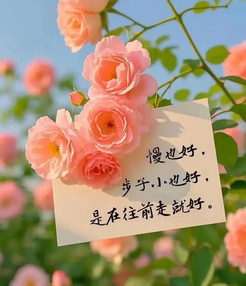 中考倒计时,压住冲动,改成:好好吃饭、按时睡觉 第1张