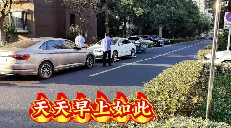 2026溧阳中考各大初中分配名额出炉◇天目湖湿地一野生白鹭被鱼线困死◇汽车站有序一幕! 第7张