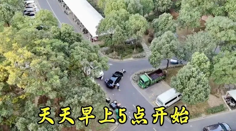 2026溧阳中考各大初中分配名额出炉◇天目湖湿地一野生白鹭被鱼线困死◇汽车站有序一幕! 第9张
