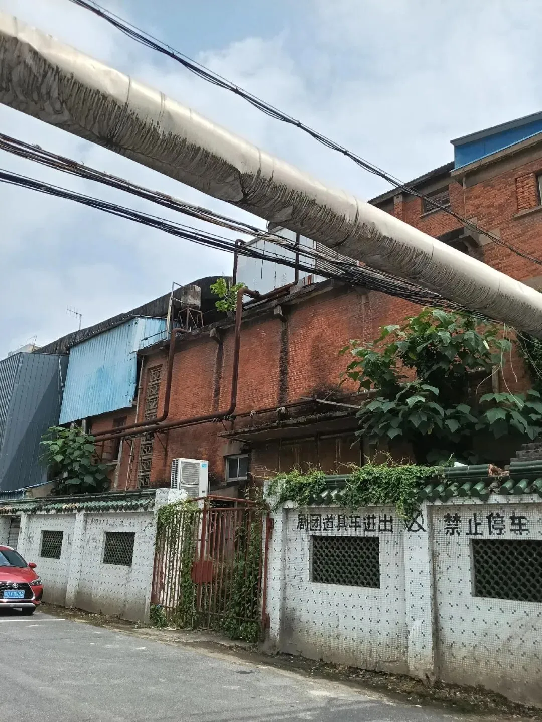 2026溧阳中考各大初中分配名额出炉◇天目湖湿地一野生白鹭被鱼线困死◇汽车站有序一幕! 第10张