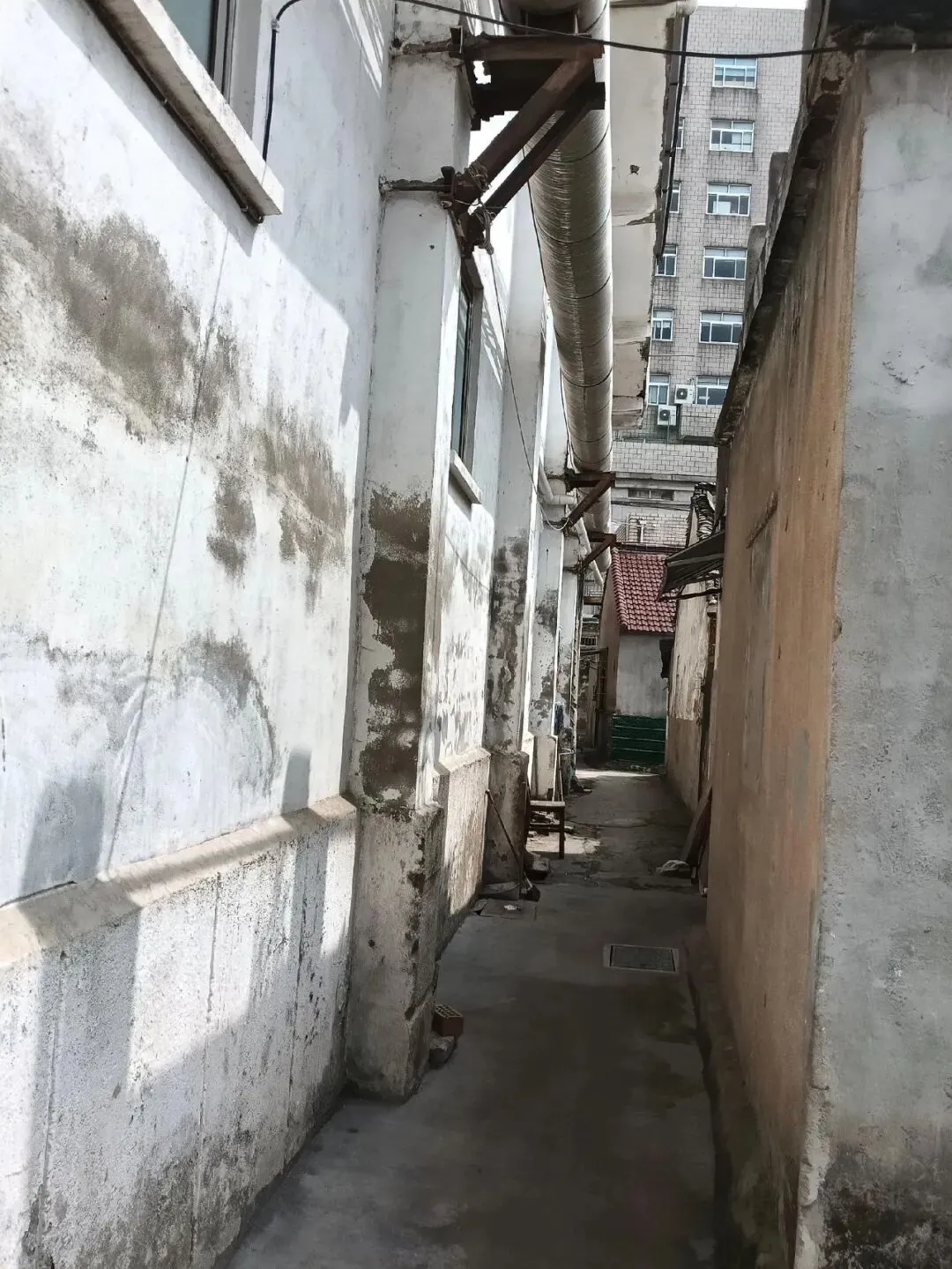2026溧阳中考各大初中分配名额出炉◇天目湖湿地一野生白鹭被鱼线困死◇汽车站有序一幕! 第11张
