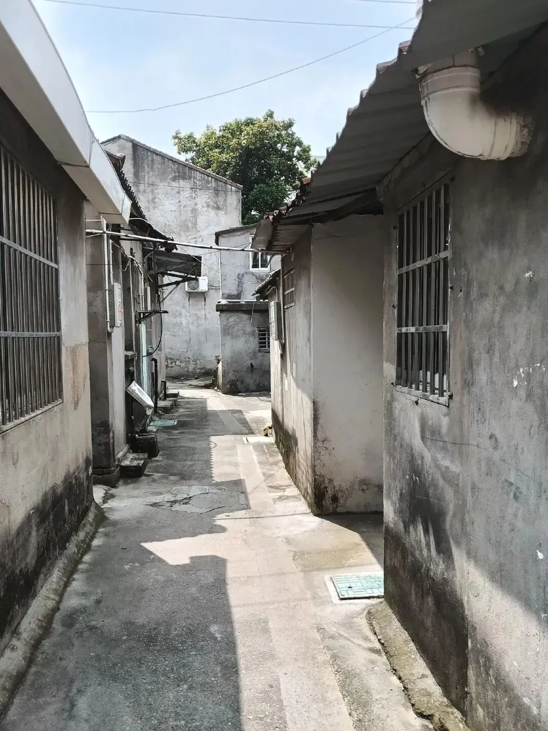 2026溧阳中考各大初中分配名额出炉◇天目湖湿地一野生白鹭被鱼线困死◇汽车站有序一幕! 第13张