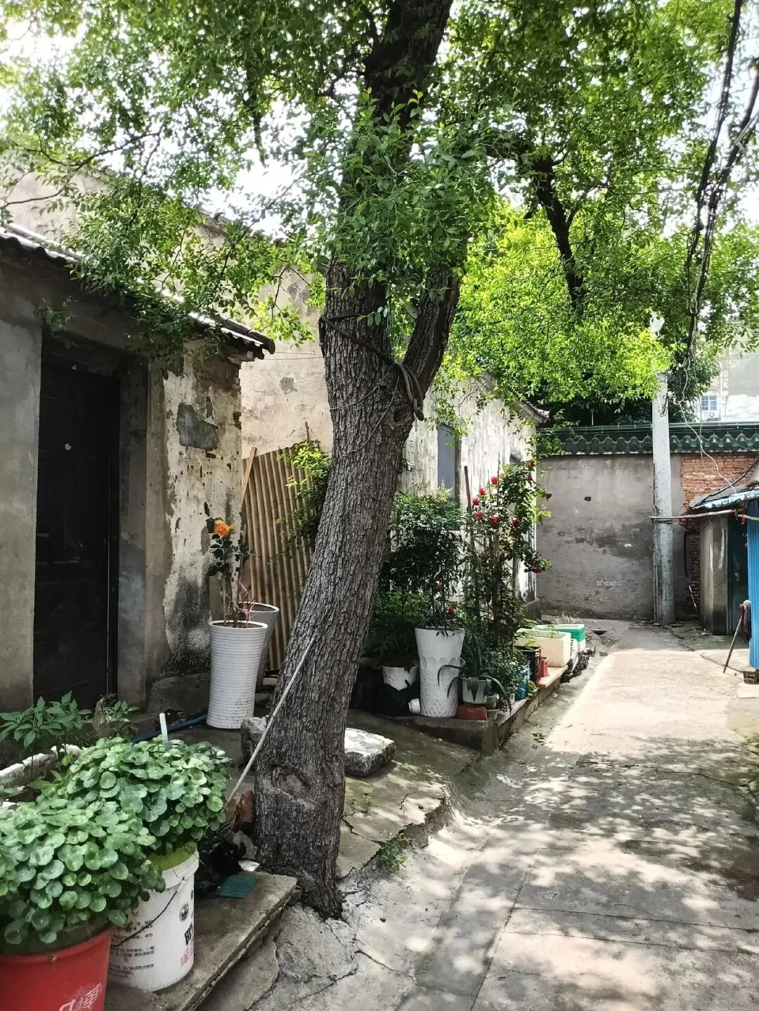 2026溧阳中考各大初中分配名额出炉◇天目湖湿地一野生白鹭被鱼线困死◇汽车站有序一幕! 第14张