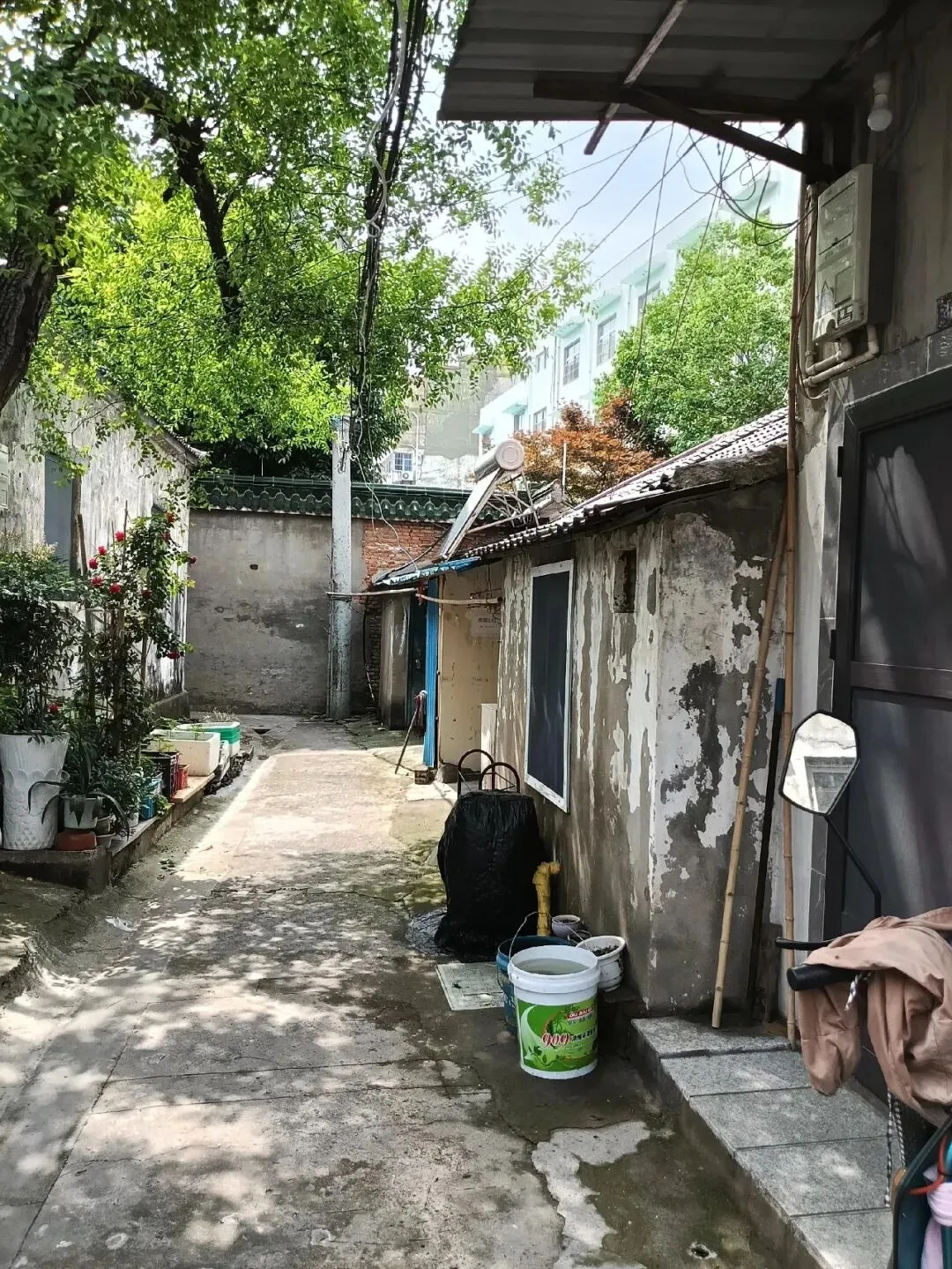 2026溧阳中考各大初中分配名额出炉◇天目湖湿地一野生白鹭被鱼线困死◇汽车站有序一幕! 第15张
