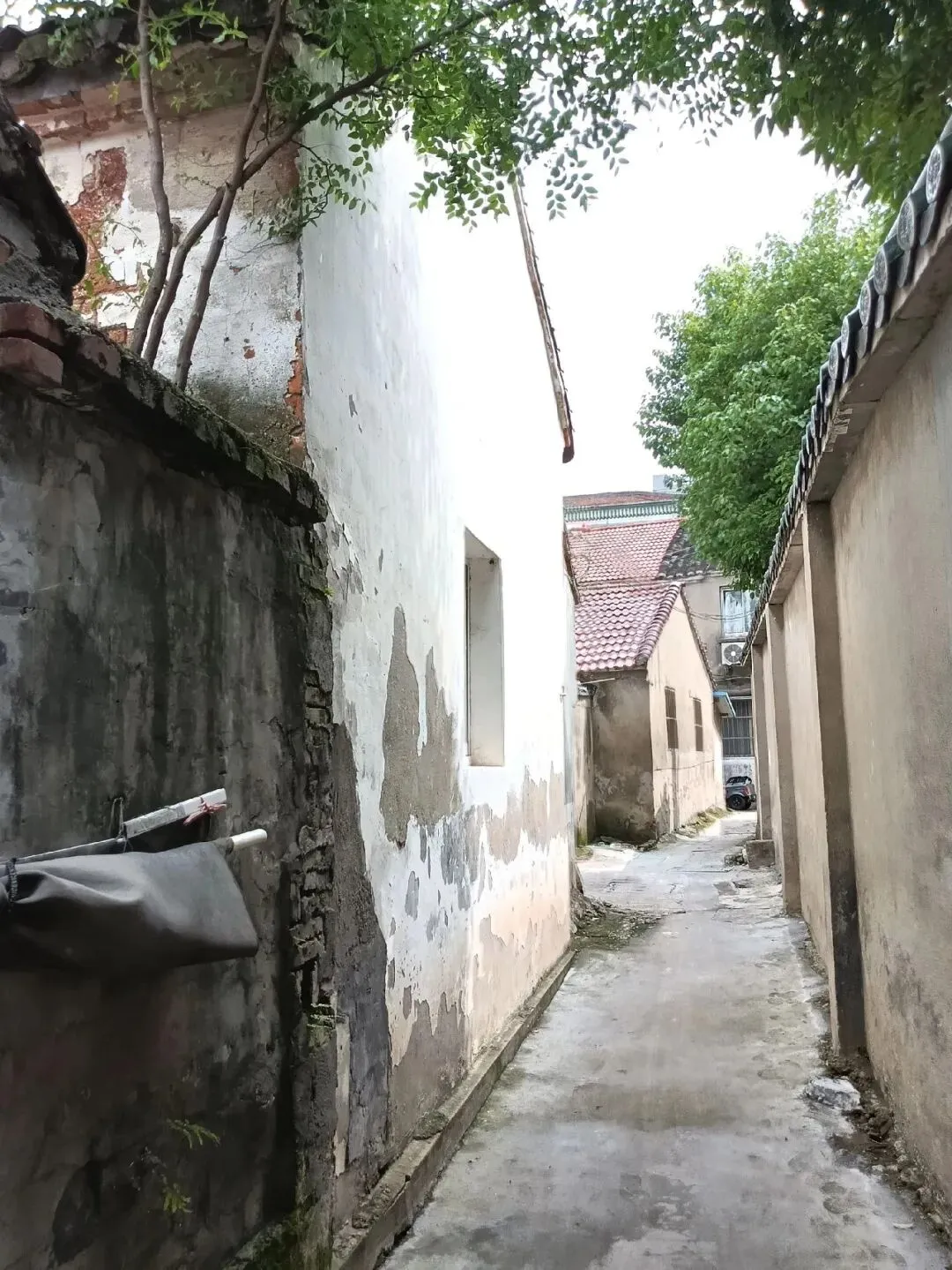 2026溧阳中考各大初中分配名额出炉◇天目湖湿地一野生白鹭被鱼线困死◇汽车站有序一幕! 第16张