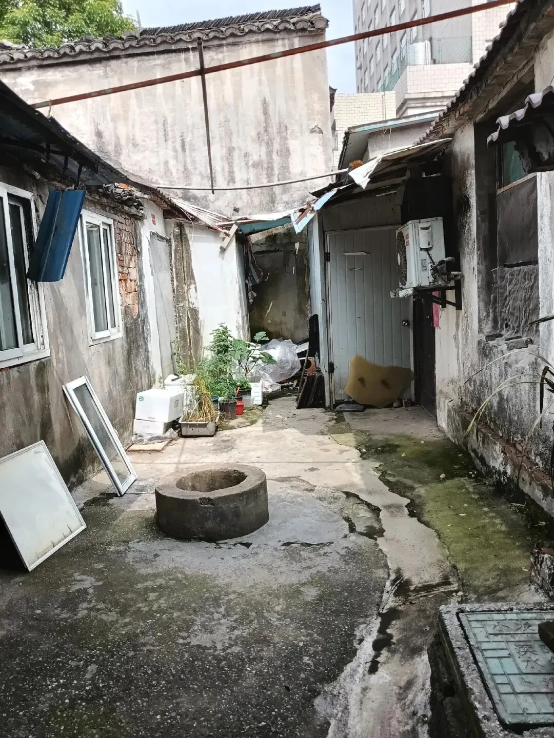 2026溧阳中考各大初中分配名额出炉◇天目湖湿地一野生白鹭被鱼线困死◇汽车站有序一幕! 第17张
