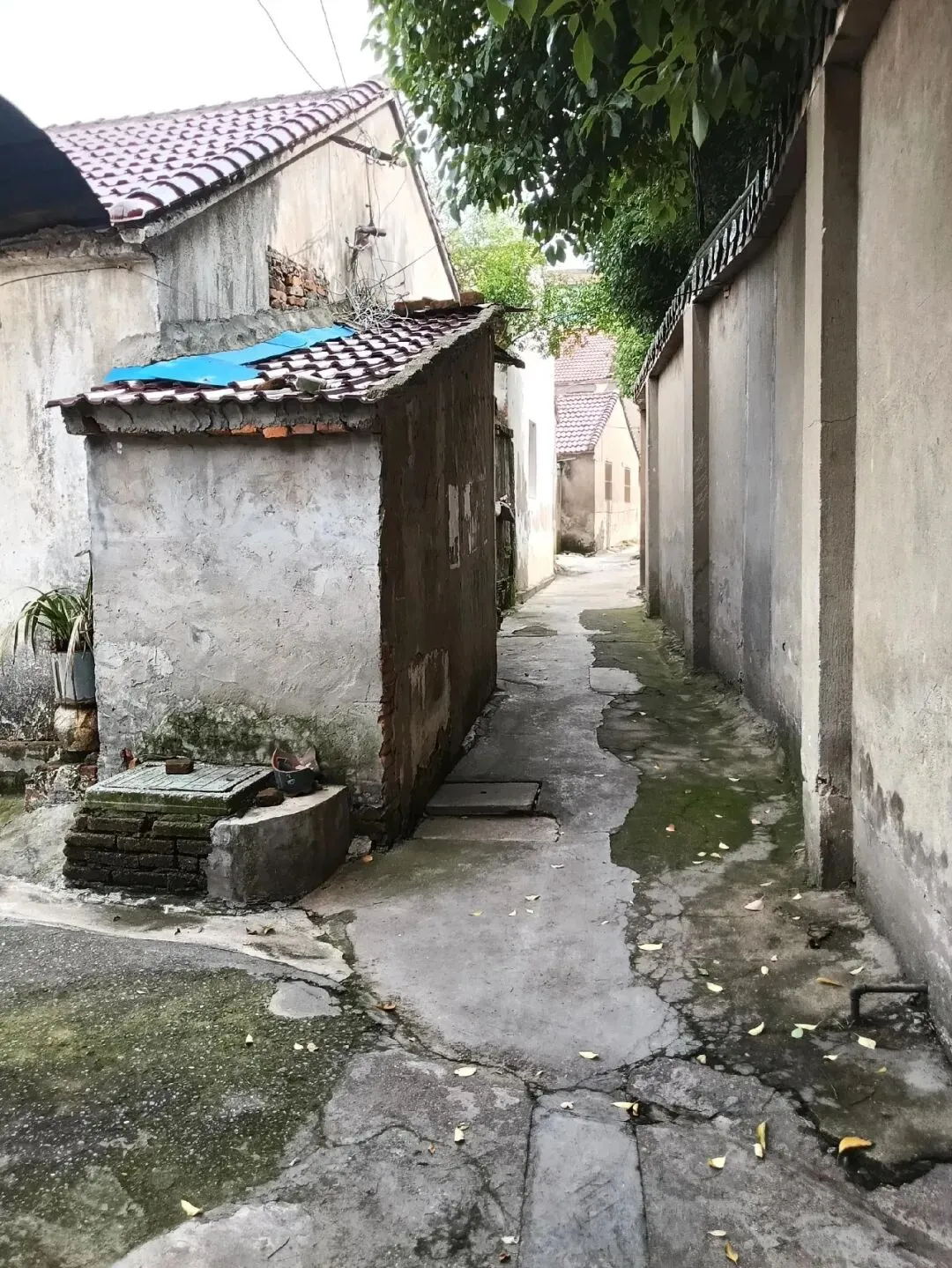 2026溧阳中考各大初中分配名额出炉◇天目湖湿地一野生白鹭被鱼线困死◇汽车站有序一幕! 第18张