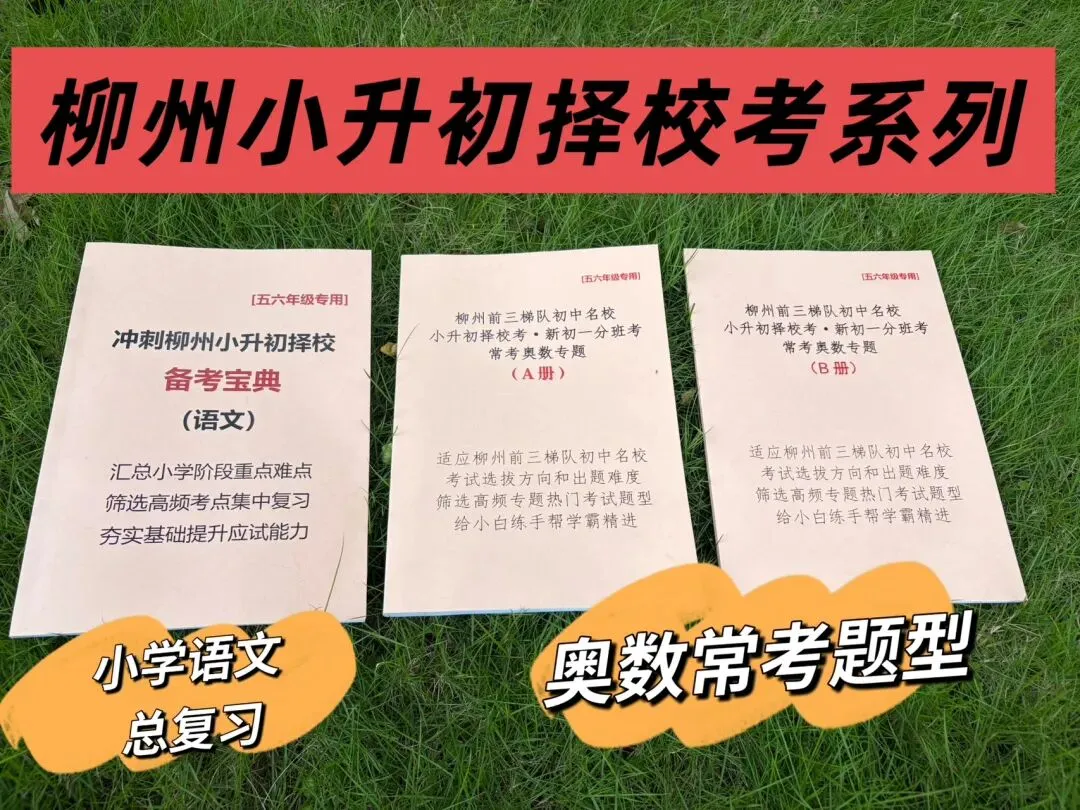 真题丨2026级柳州壶西实验中学小升初在线测试(二) 第22张