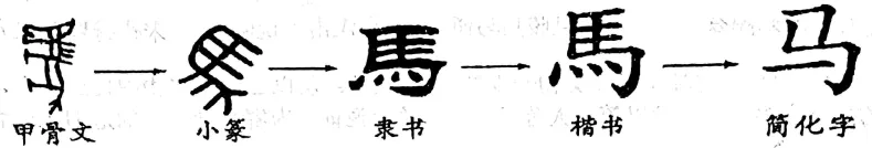 2026年中考历史时政热点选择题100题2 第1张 2026年中考历史时政热点选择题100题2 第1张