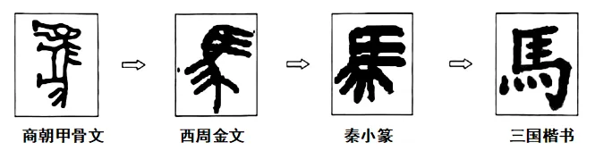 2026年中考历史时政热点选择题100题2 第7张 2026年中考历史时政热点选择题100题2 第7张