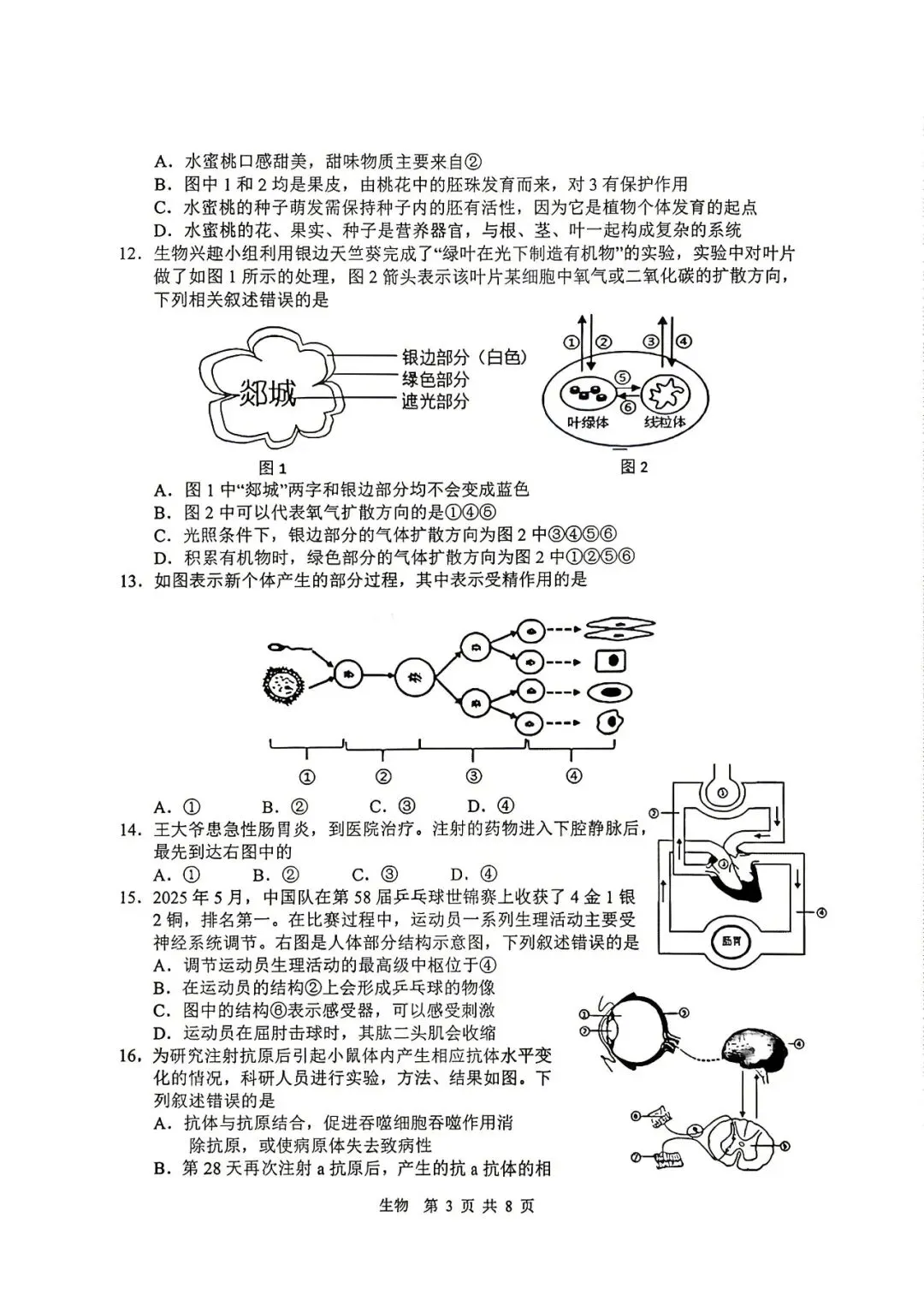 【生物模拟】2026年初中学业水平考试模拟试题 第3张 【生物模拟】2026年初中学业水平考试模拟试题 第3张