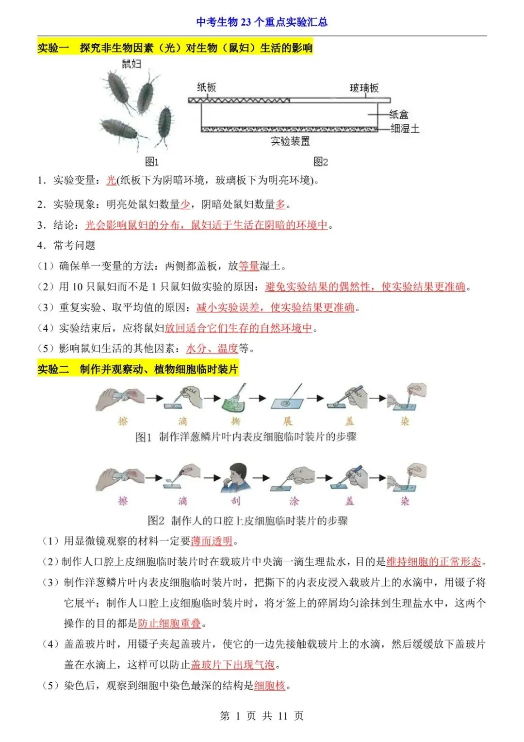 2026中考生物提分干货丨实验满分必背!23个重点实验一次汇总(电子版可打印) 第9张