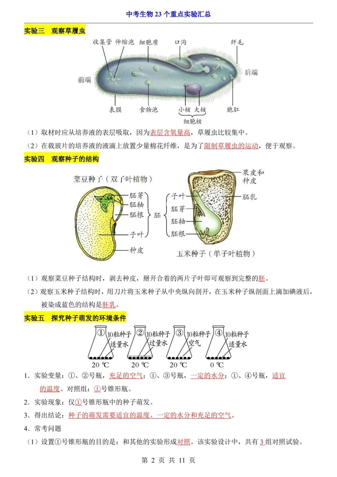2026中考生物提分干货丨实验满分必背!23个重点实验一次汇总(电子版可打印) 第10张