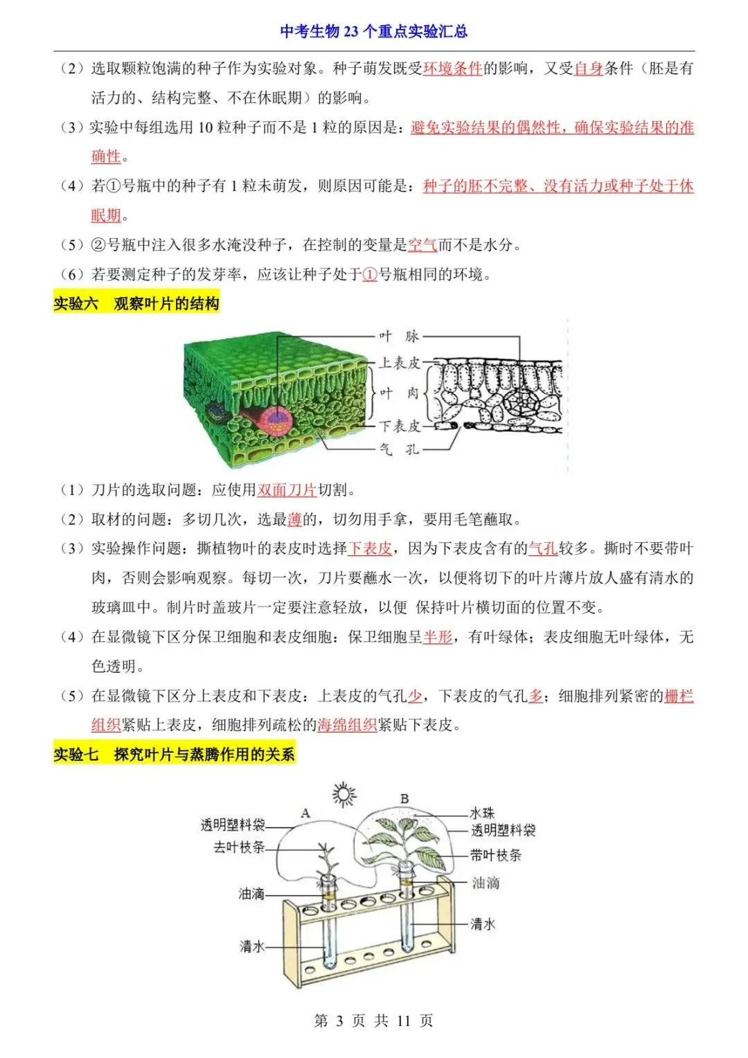 2026中考生物提分干货丨实验满分必背!23个重点实验一次汇总(电子版可打印) 第11张