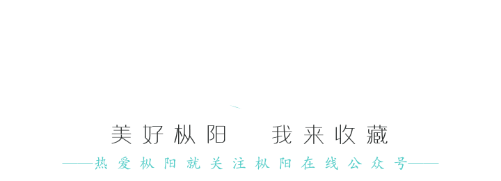 枞阳高中考人数、考点安排来了! 第1张