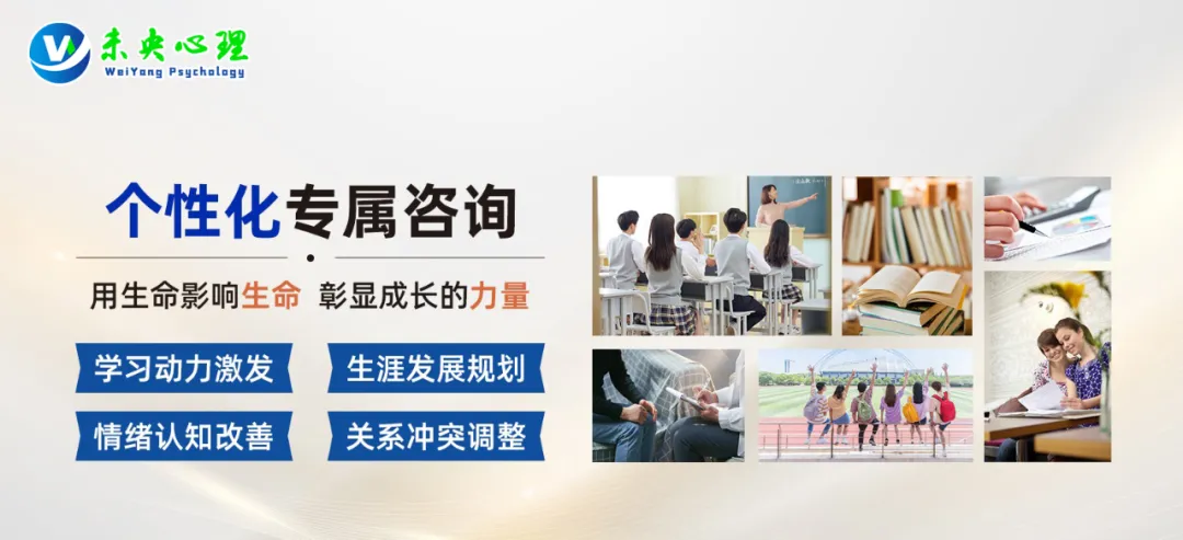 个案咨询分享——初三男生中考志愿冲突:职高还是普高?一场家庭战争 第12张