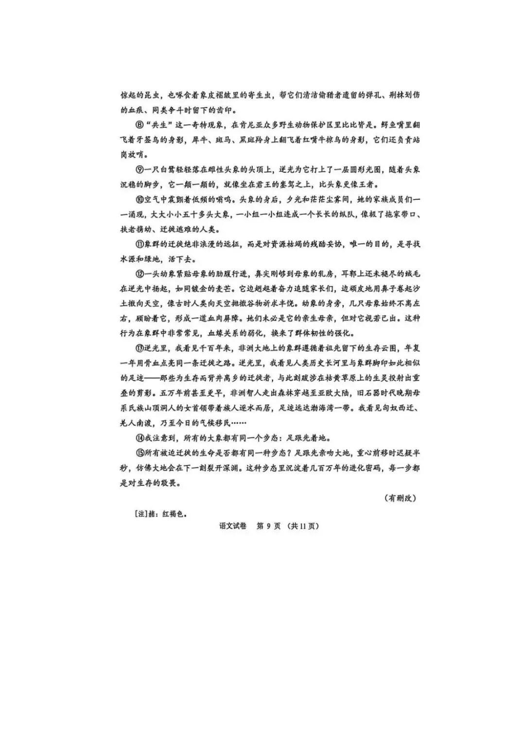 广州中考一模真题试卷附答案(语文) 第10张