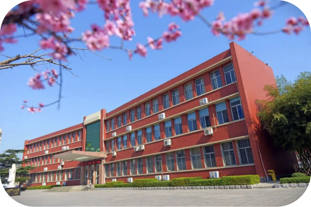 习得行文妙法,筑梦中考征途——淄川第二中学特邀牟维和老师开展作文专题讲座 第1张