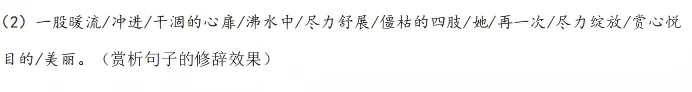 【2026年期中考试】初一年级·语文试卷分析 第20张
