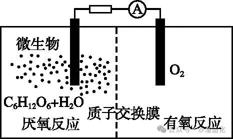 品化:‖ 再做高考真题 梳理考点考向(新课标卷) 第5张