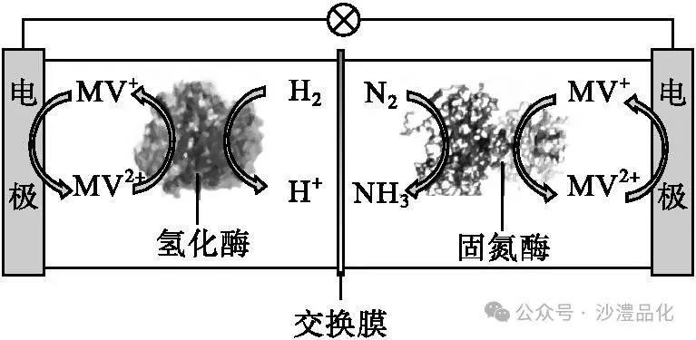 品化:‖ 再做高考真题 梳理考点考向(新课标卷) 第6张