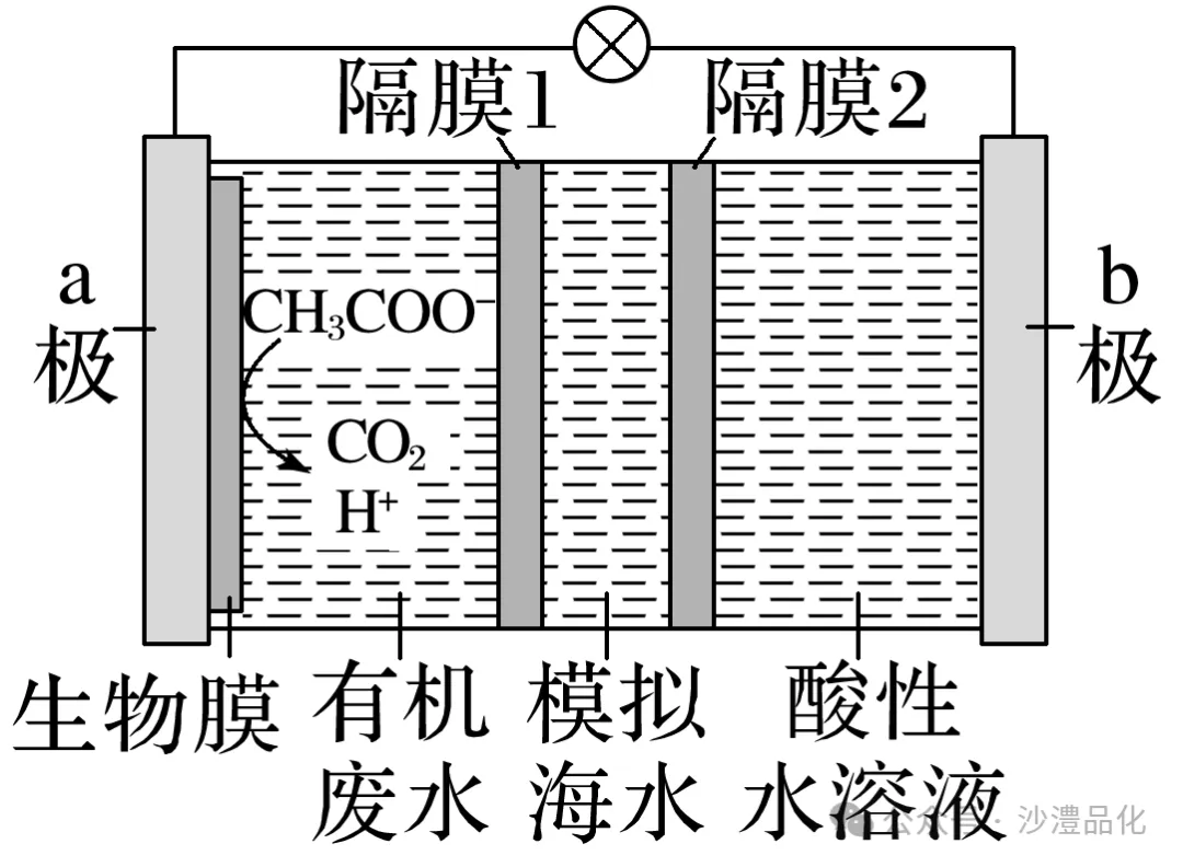 品化:‖ 再做高考真题 梳理考点考向(新课标卷) 第7张