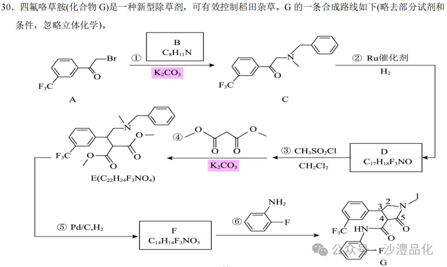 品化:‖ 再做高考真题 梳理考点考向(新课标卷) 第18张